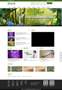 北京網(wǎng)站設(shè)計(jì)三版 從視覺(jué)到功能的全面進(jìn)化之路